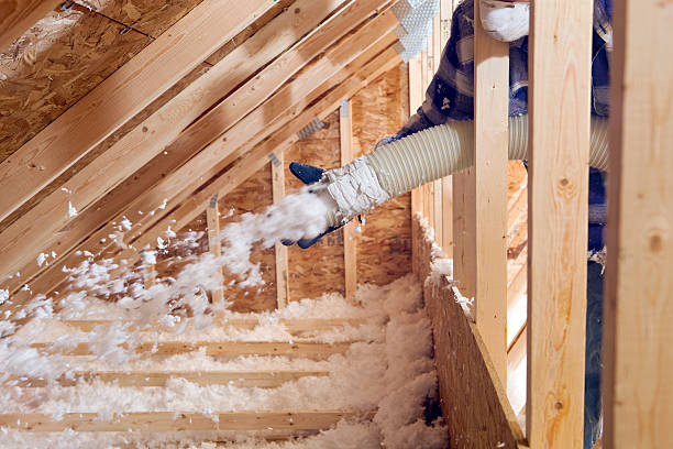 Best Attic Insulation Installation  in Blplay, AL